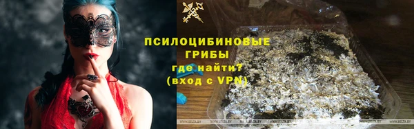 дмт Магас