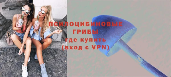 тгк Майский