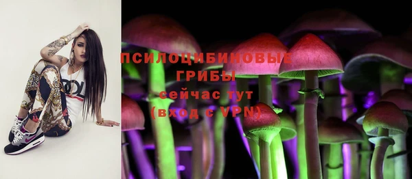 прущая мука Магадан