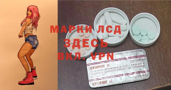 дмт Магас
