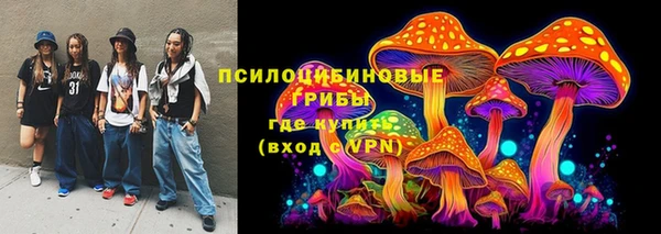 дмт Магас
