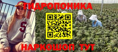 марки lsd Бийск