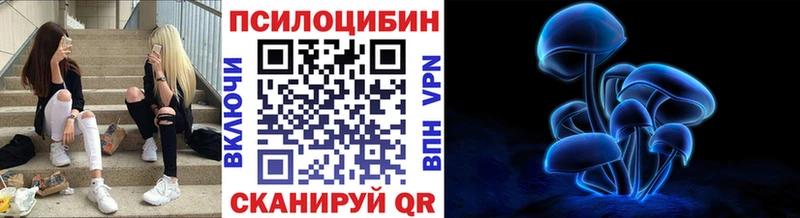 Галлюциногенные грибы Cubensis Кемерово
