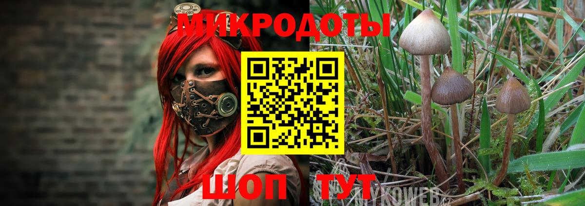 Галлюциногенные грибы прущие грибы  Вход с VPN  Псилоцибиновые грибы мицелий  Кемерово 