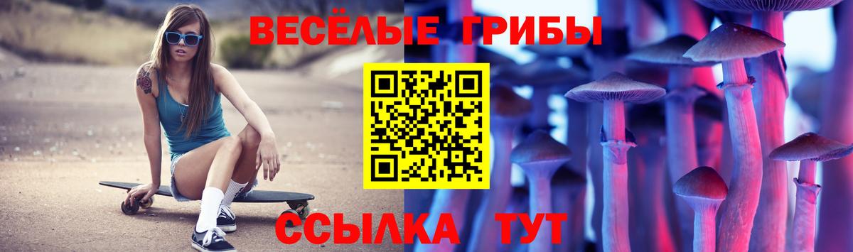 Галлюциногенные грибы MAGIC MUSHROOMS  купить закладку  Кемерово 